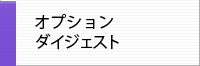 ARオプションダイジェスト